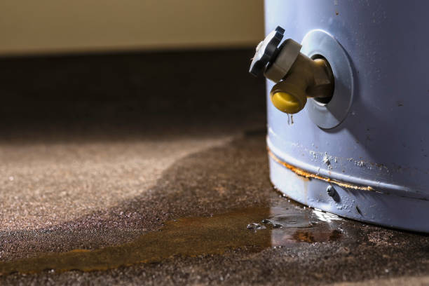 Best Flooded house restoration  in Evergreen, MT