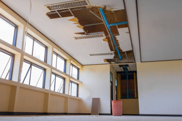 Best Professional water damage repair  in Evergreen, MT