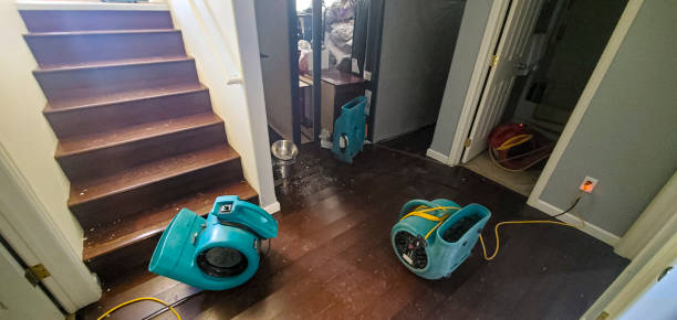 Best Emergency water damage restoration  in Evergreen, MT