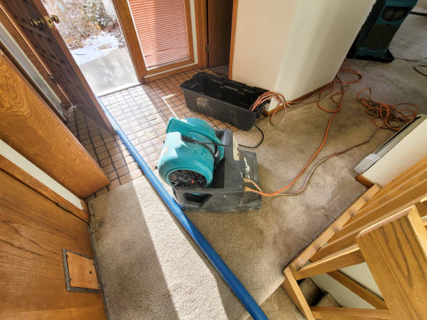 Best Commercial water damage restoration  in Evergreen, MT