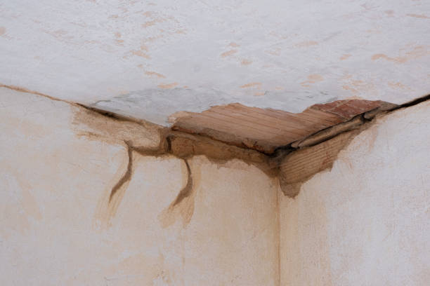 Best Flood restoration services  in Evergreen, MT
