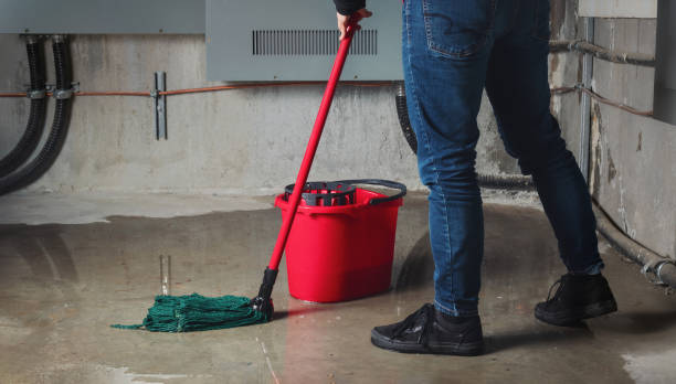 Best Flood restoration services  in Evergreen, MT