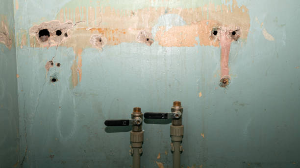 Best Water damage contractors near me  in Evergreen, MT