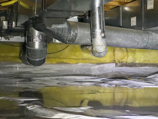 Best Ceiling water damage repair  in Evergreen, MT