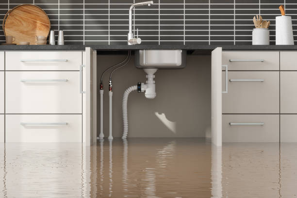 Best Emergency water damage restoration  in Evergreen, MT