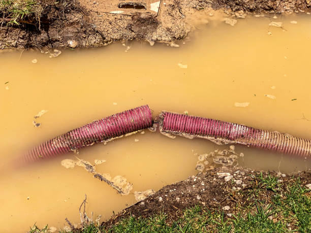 Best Local water damage restoration  in Evergreen, MT