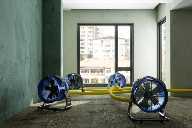 Best Water damage restoration mold remediation  in Evergreen, MT