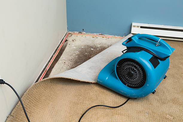Best Sewage cleanup and water damage restoration  in Evergreen, MT