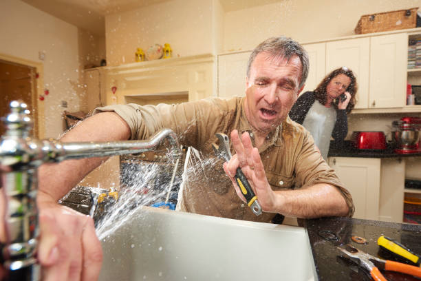 Best Water damage restoration near me  in Evergreen, MT